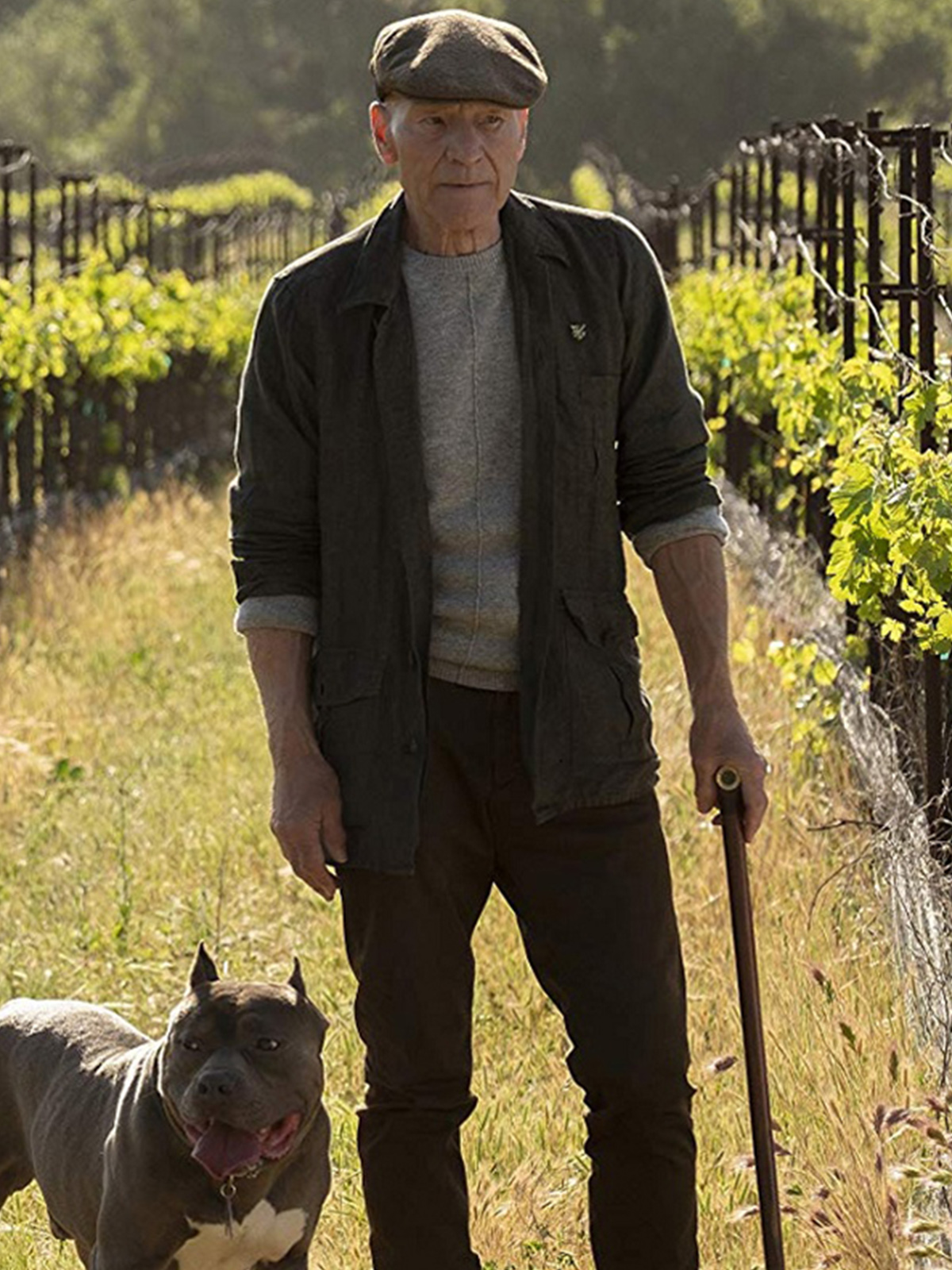 De Niro Picard Patrick Stewart Cotton Jacket