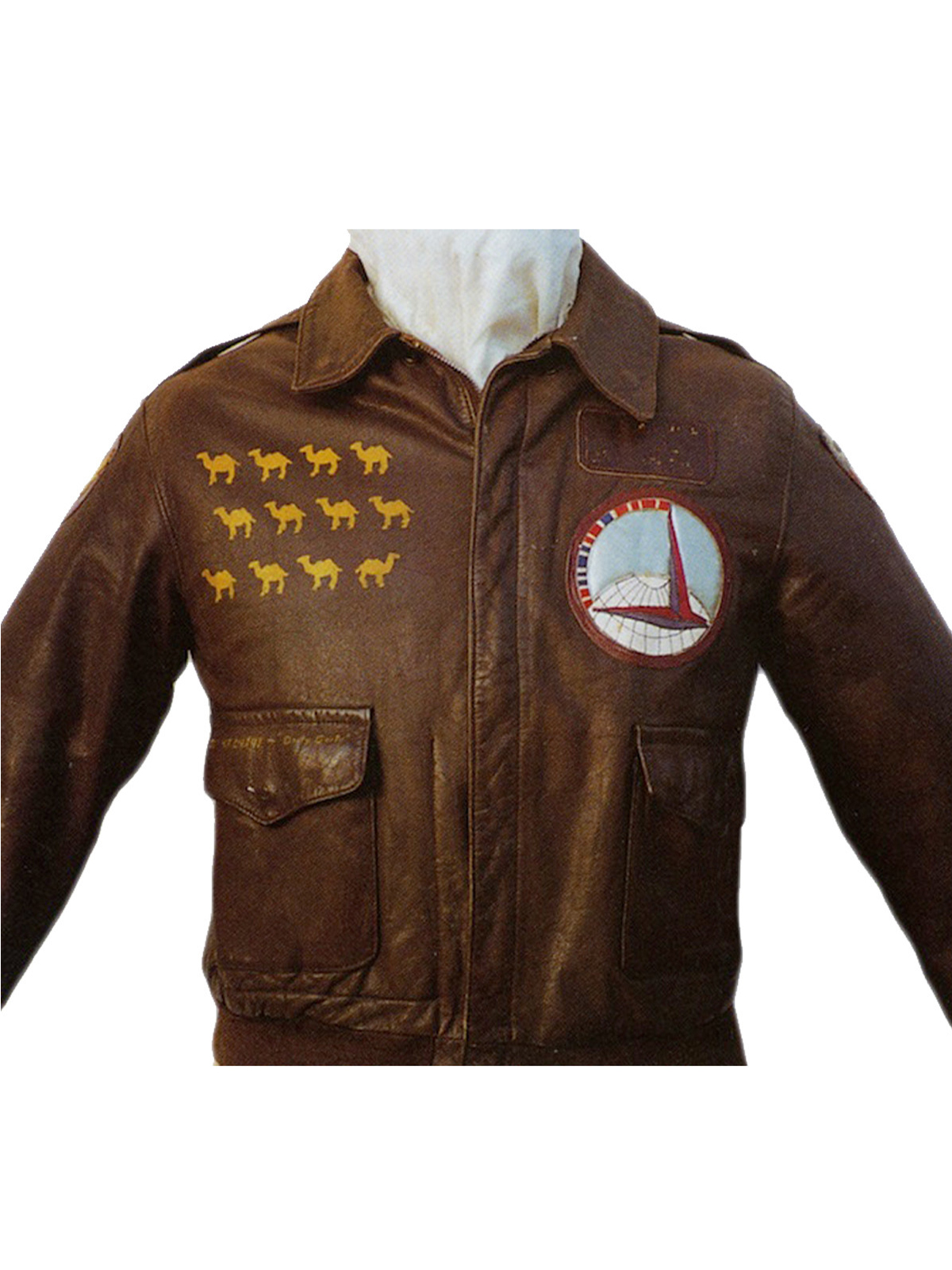 Winns Warrior Brown Leather Jacket